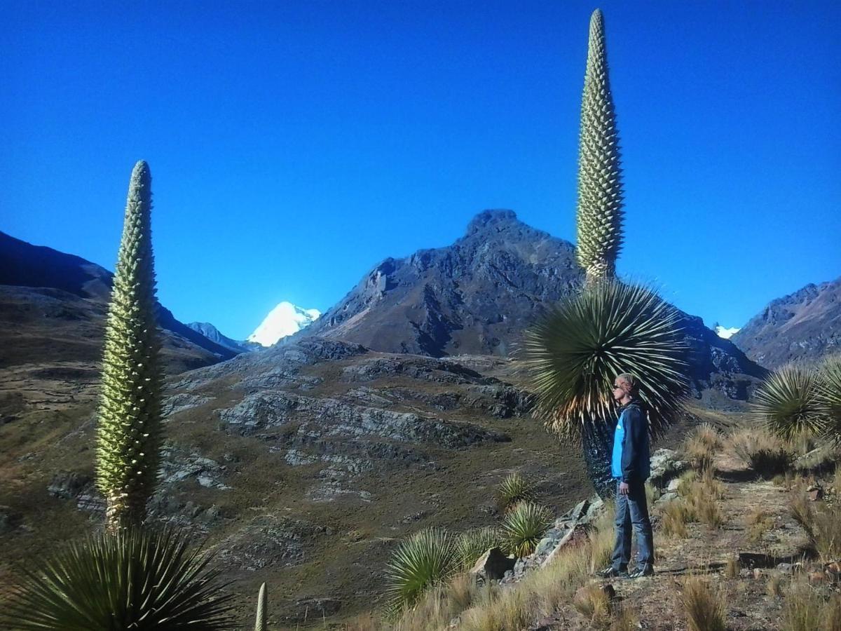 Laguna House Huaraz  Buitenkant foto